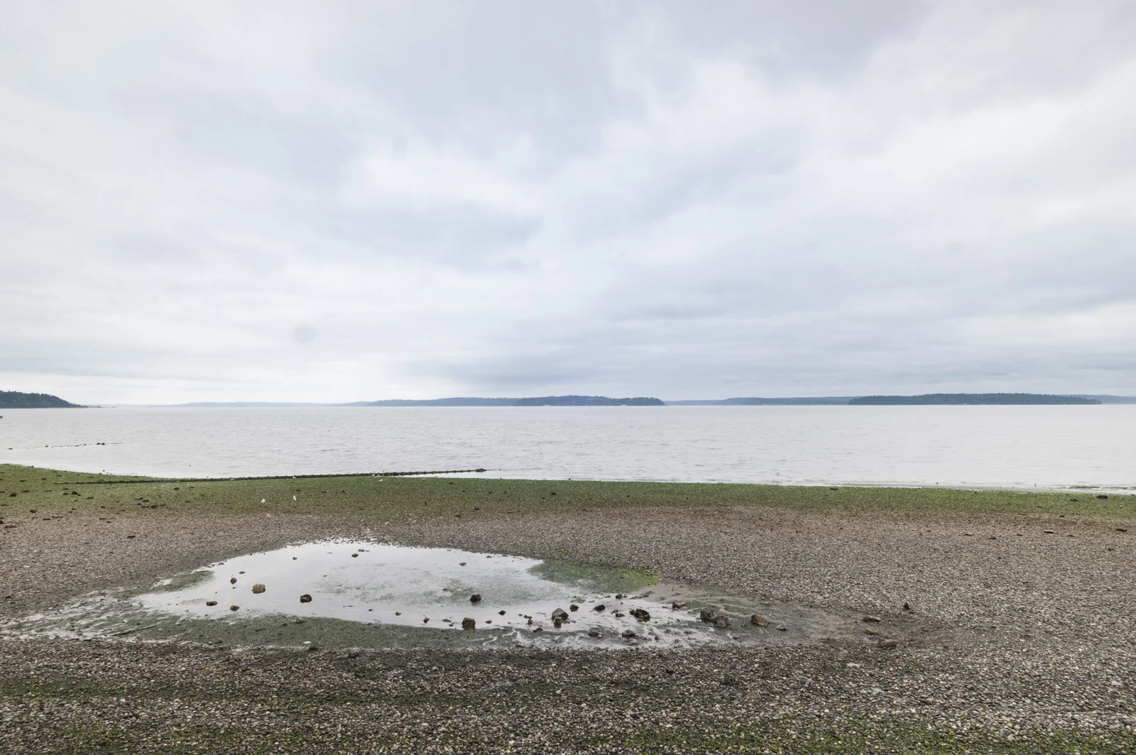 Alki Point, Washington 2016