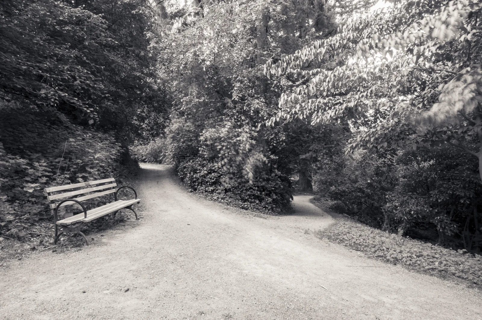 Washington Arboretum, Seattle, Washington 2016