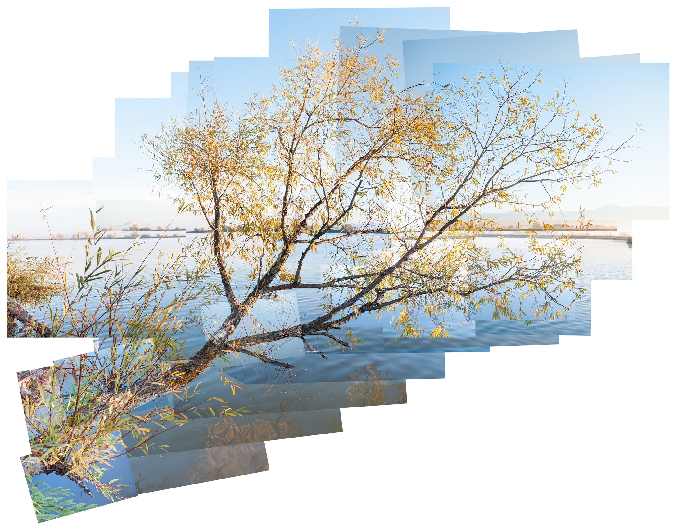 Twenty Minutes During Sunrise