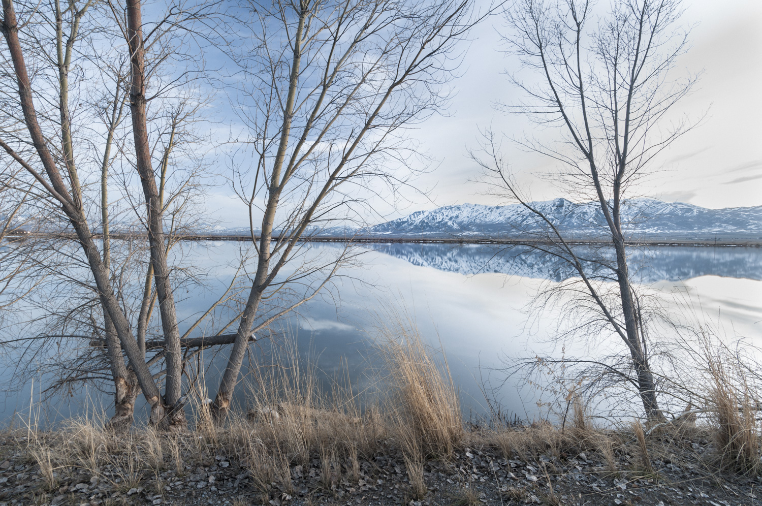 Cutler Marsh Near Benson Marina, Cache Valley, Utah, 2016