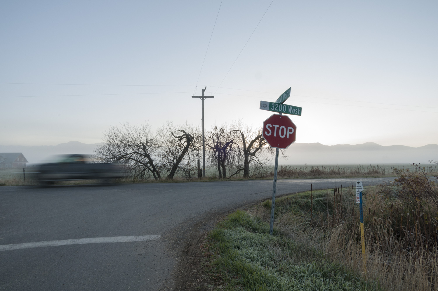 Stop Sign, Telephone Pole, Benson, Utah 2016