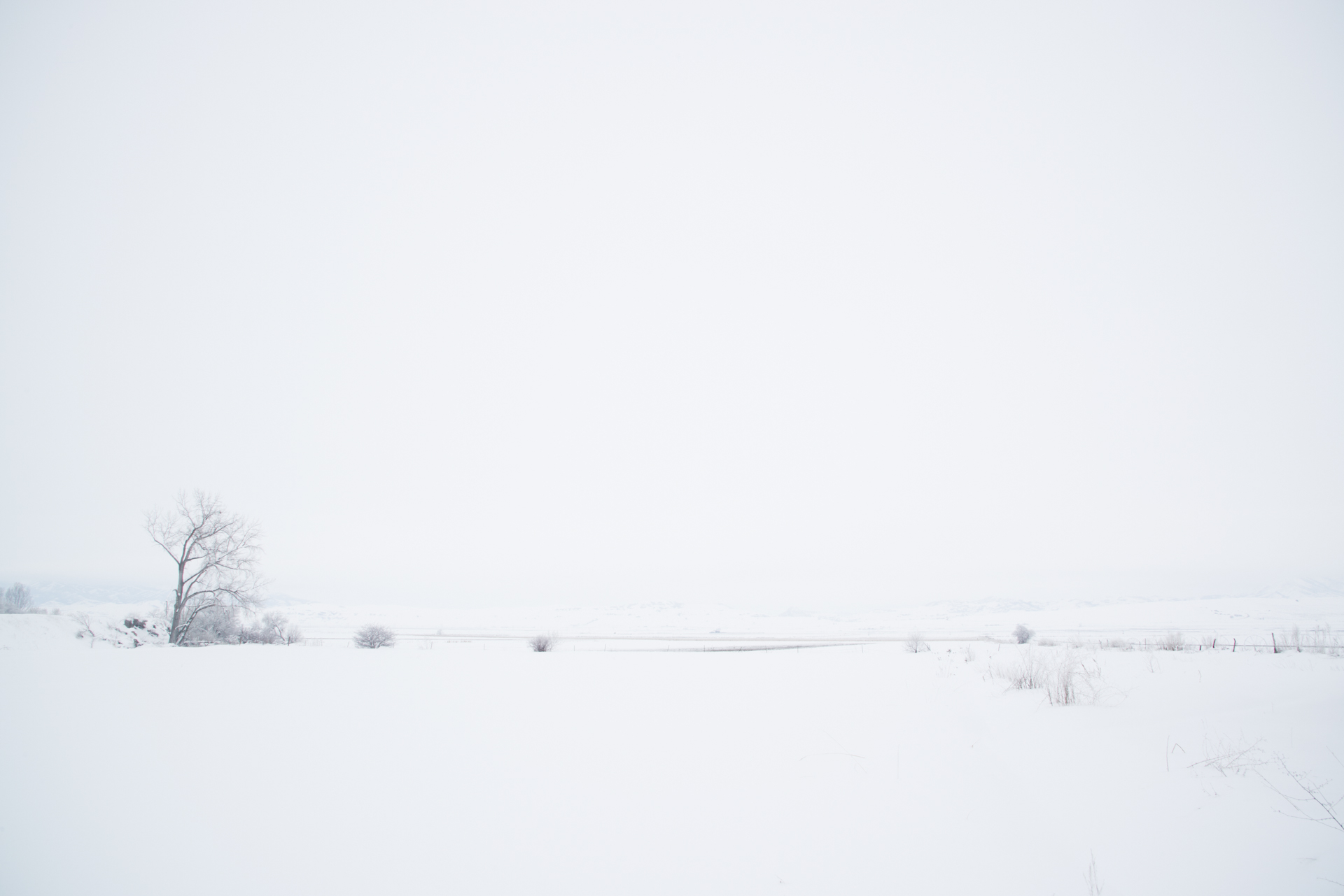 Snow Covered Field, Amalga, Utah 2017