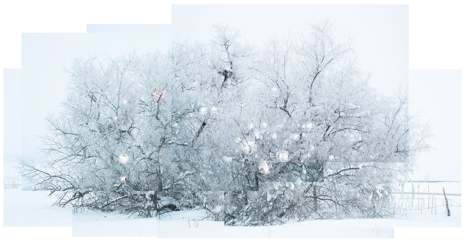 Thirty Five Minutes in Amalga