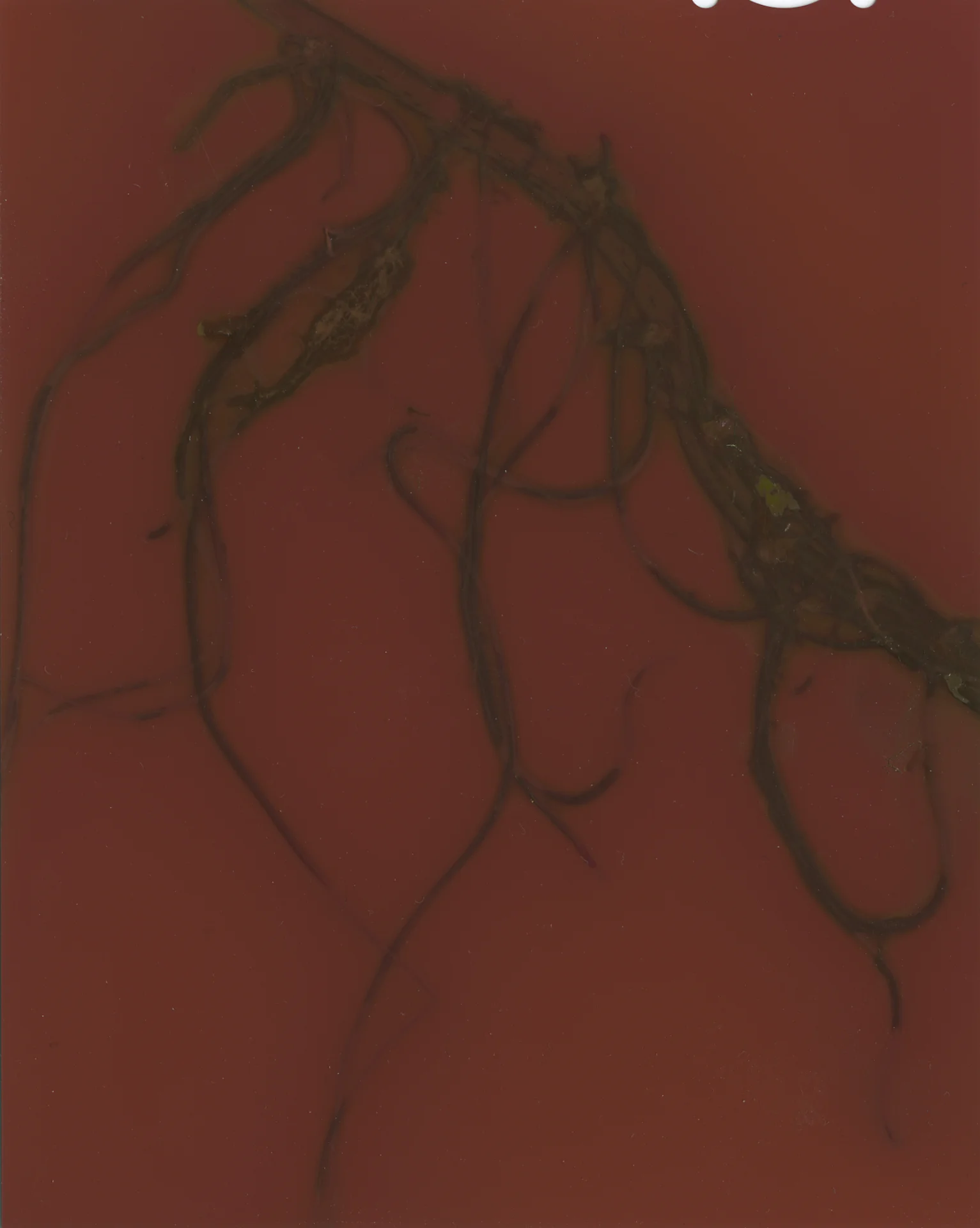 Untitled-5.jpg