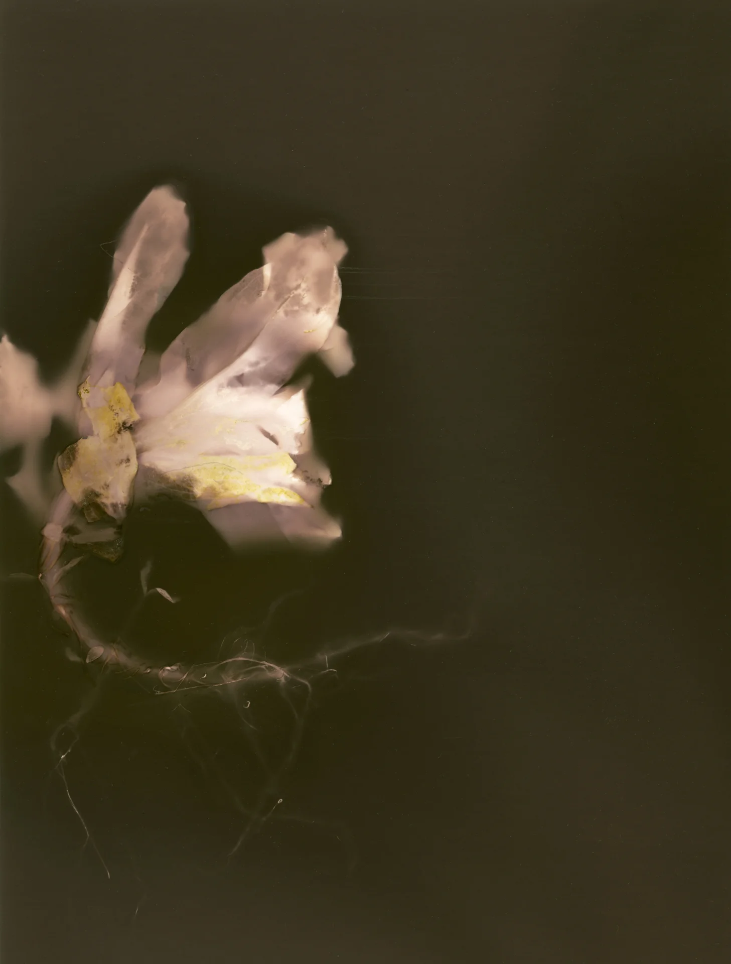 Untitled-16.jpg
