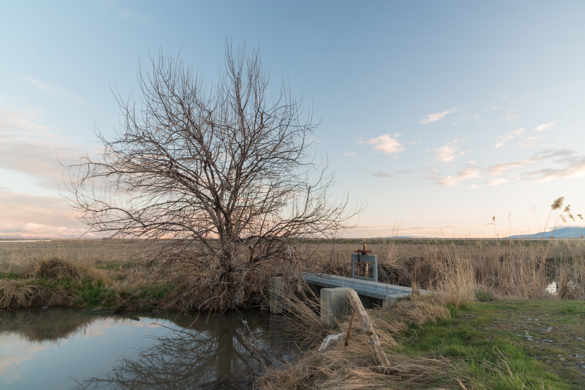 Head Gate, Bear River Migratory Bird Refuge, Utah 2017