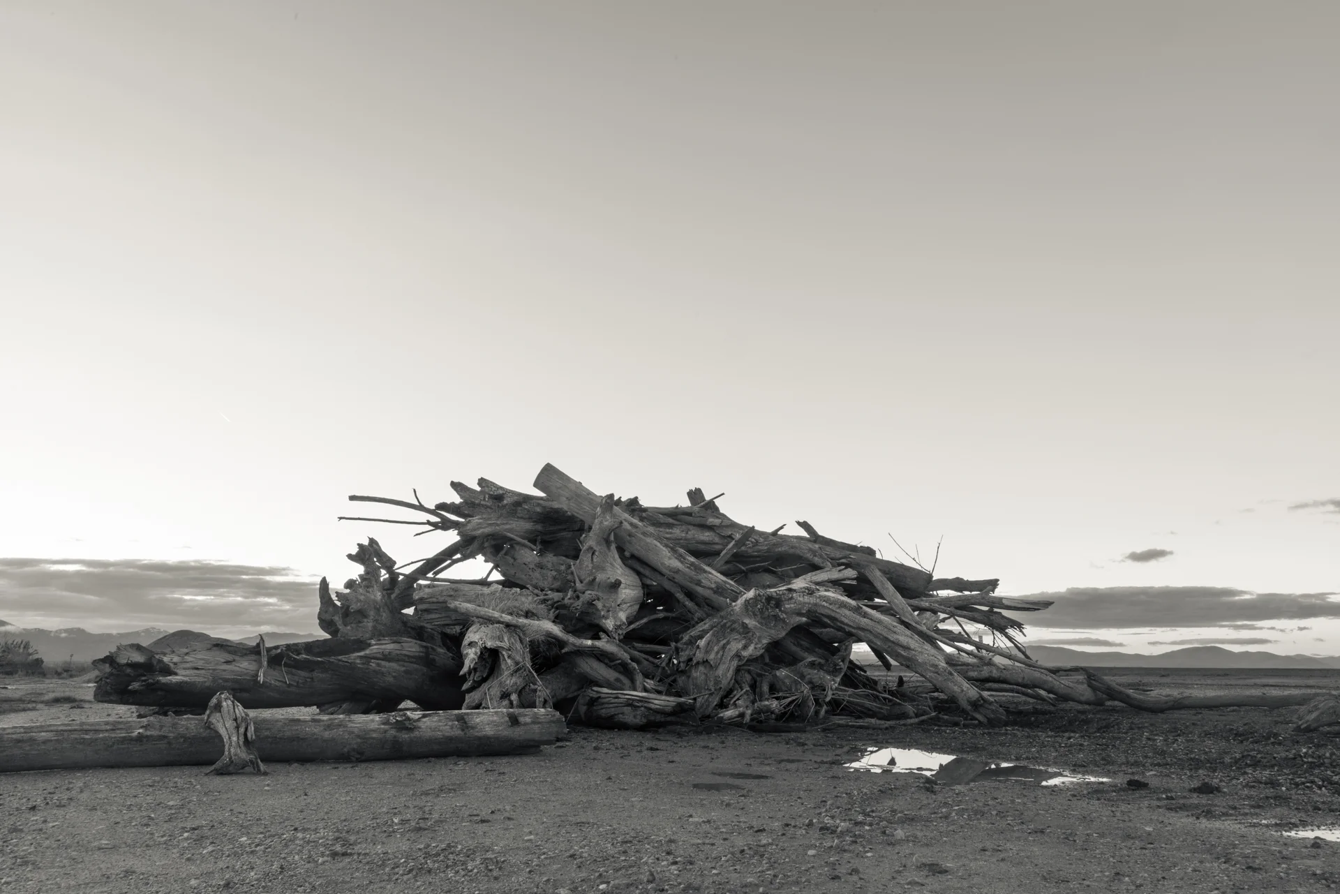 Debris Pile, Bear River Migratory Bird Refuge, Utah 2017
