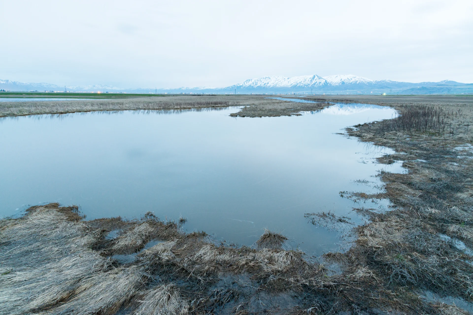 Clay Slough, Utah 2017