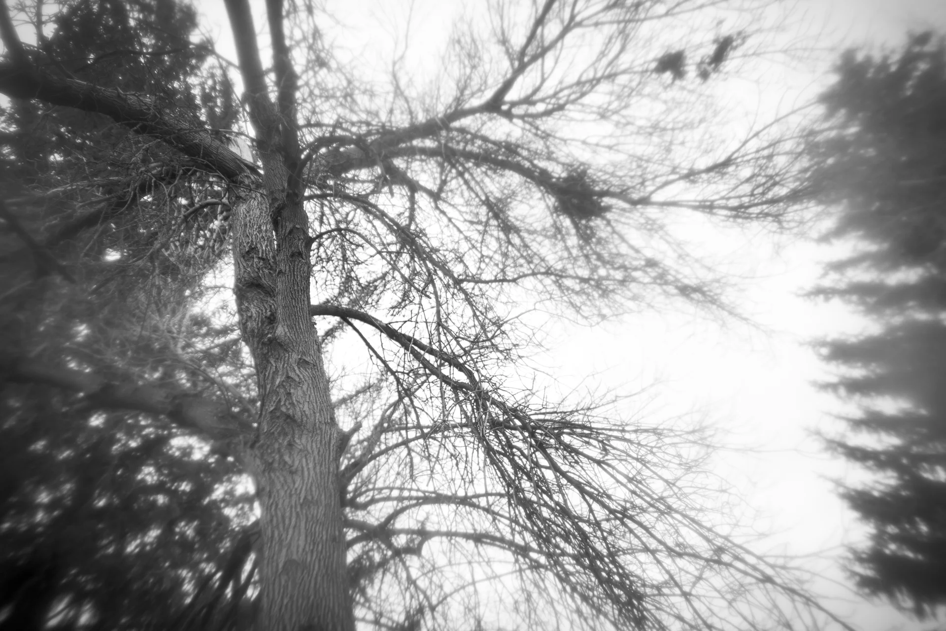 Wonderment and Fear