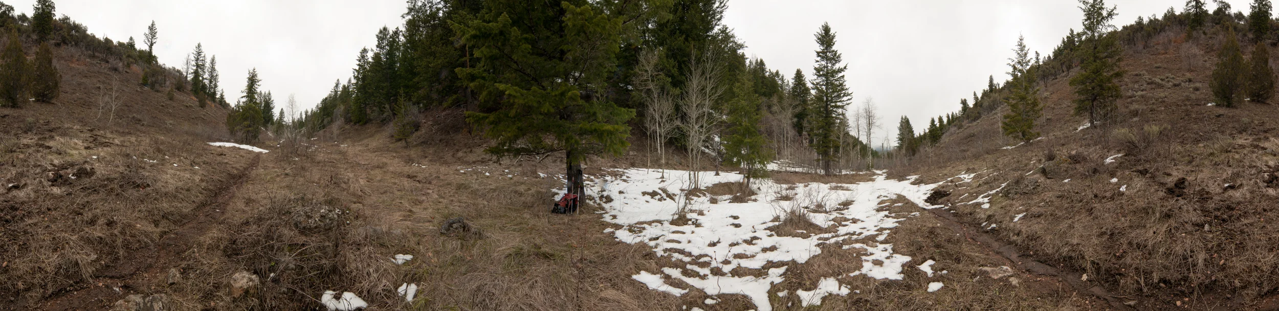 Pano5.jpg
