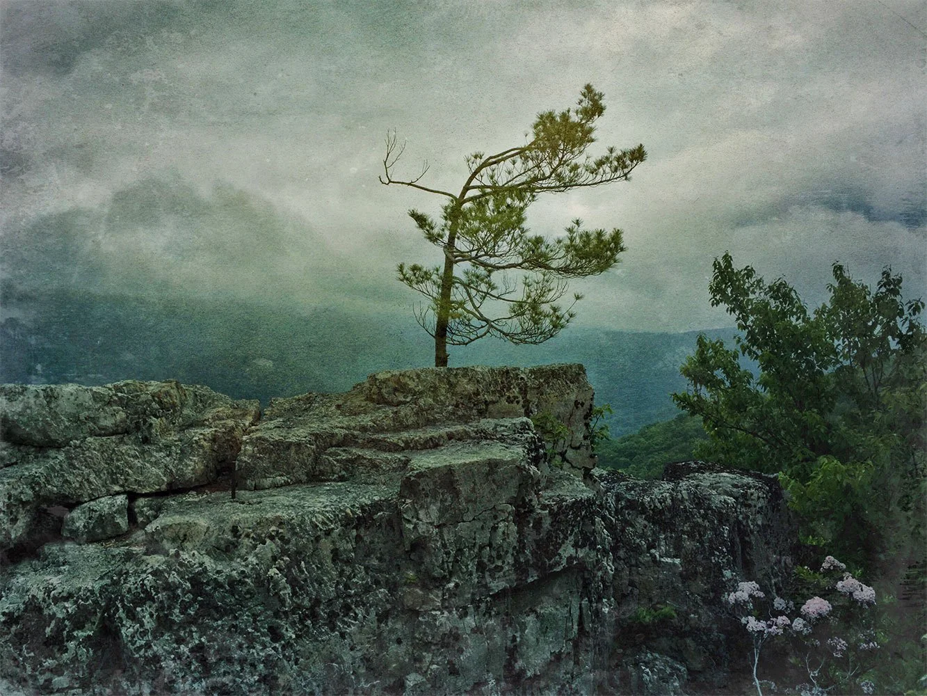 ShenandoahSpring.jpg