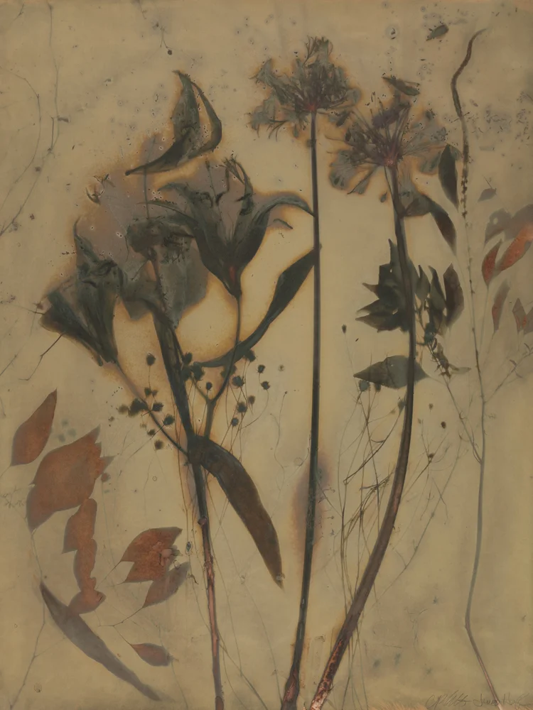 Earth Vegetation 08/17