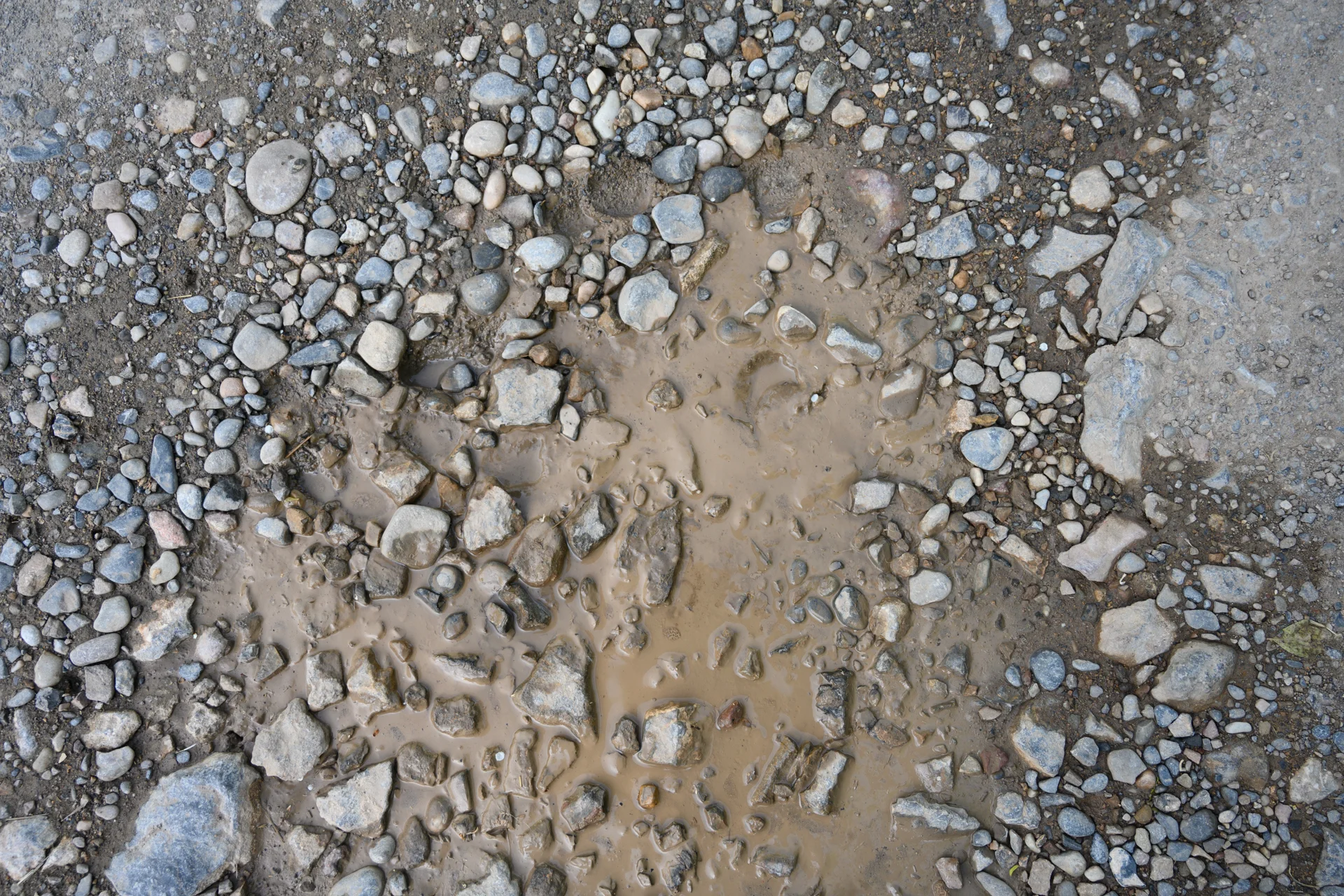 ADP_0348.jpg