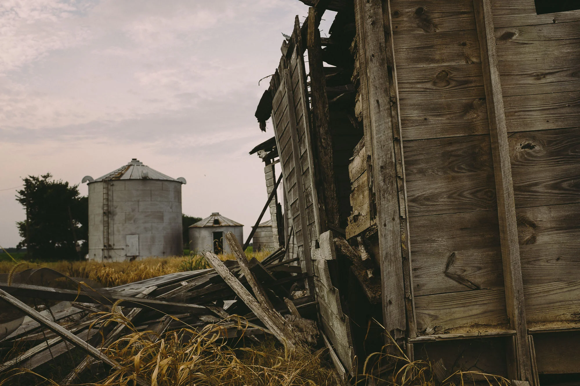 foster_farm-08.jpg