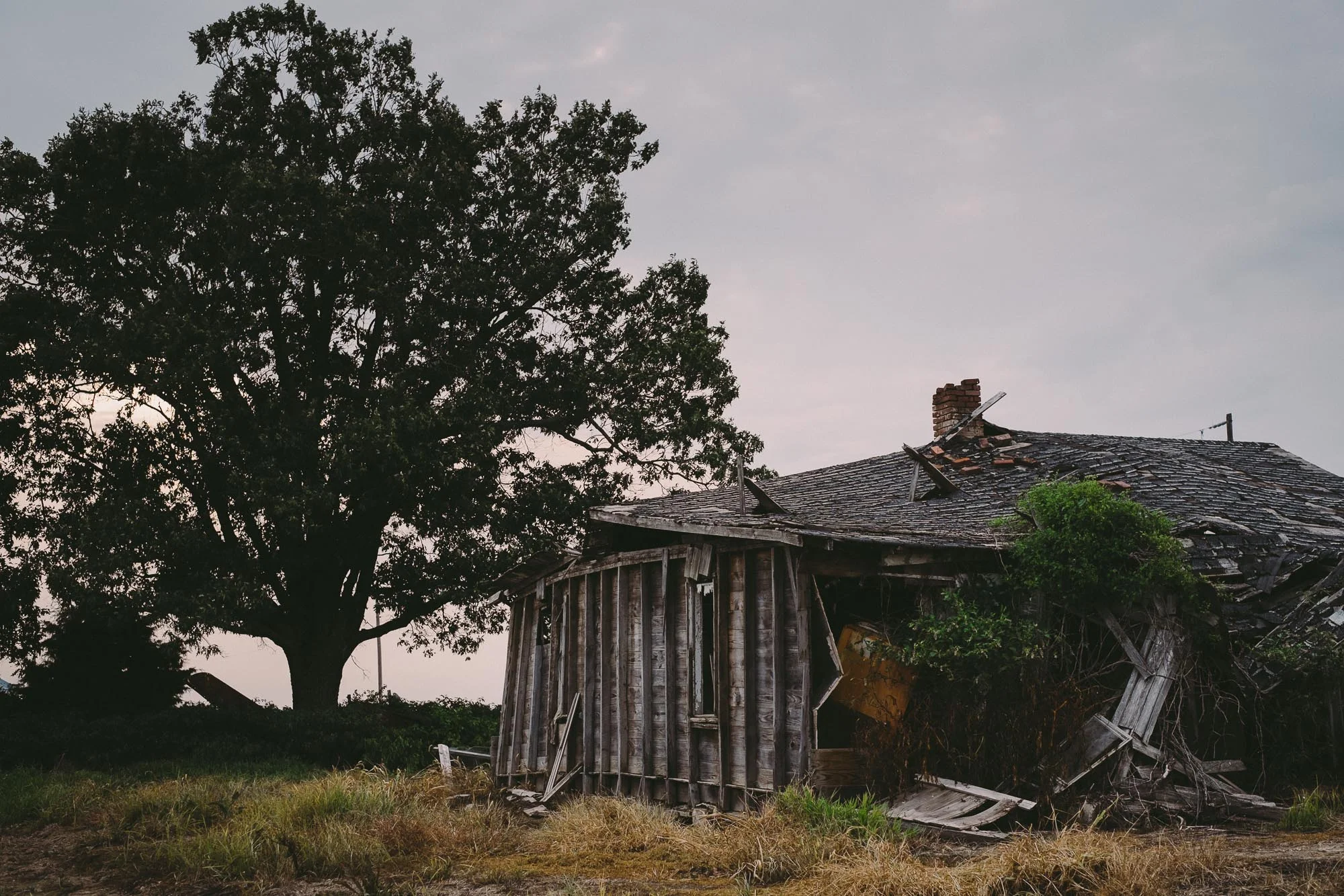 foster_farm-02.jpg