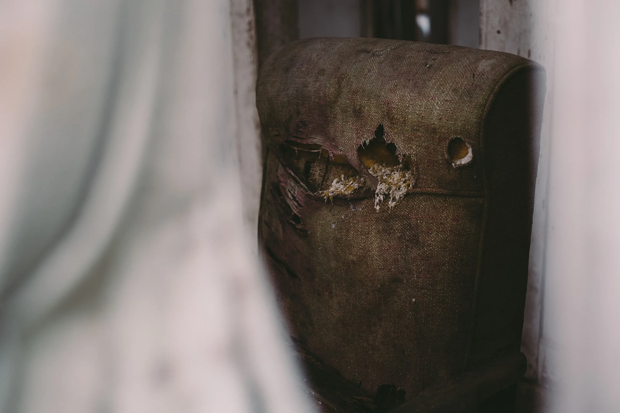 foster_farm-01.jpg