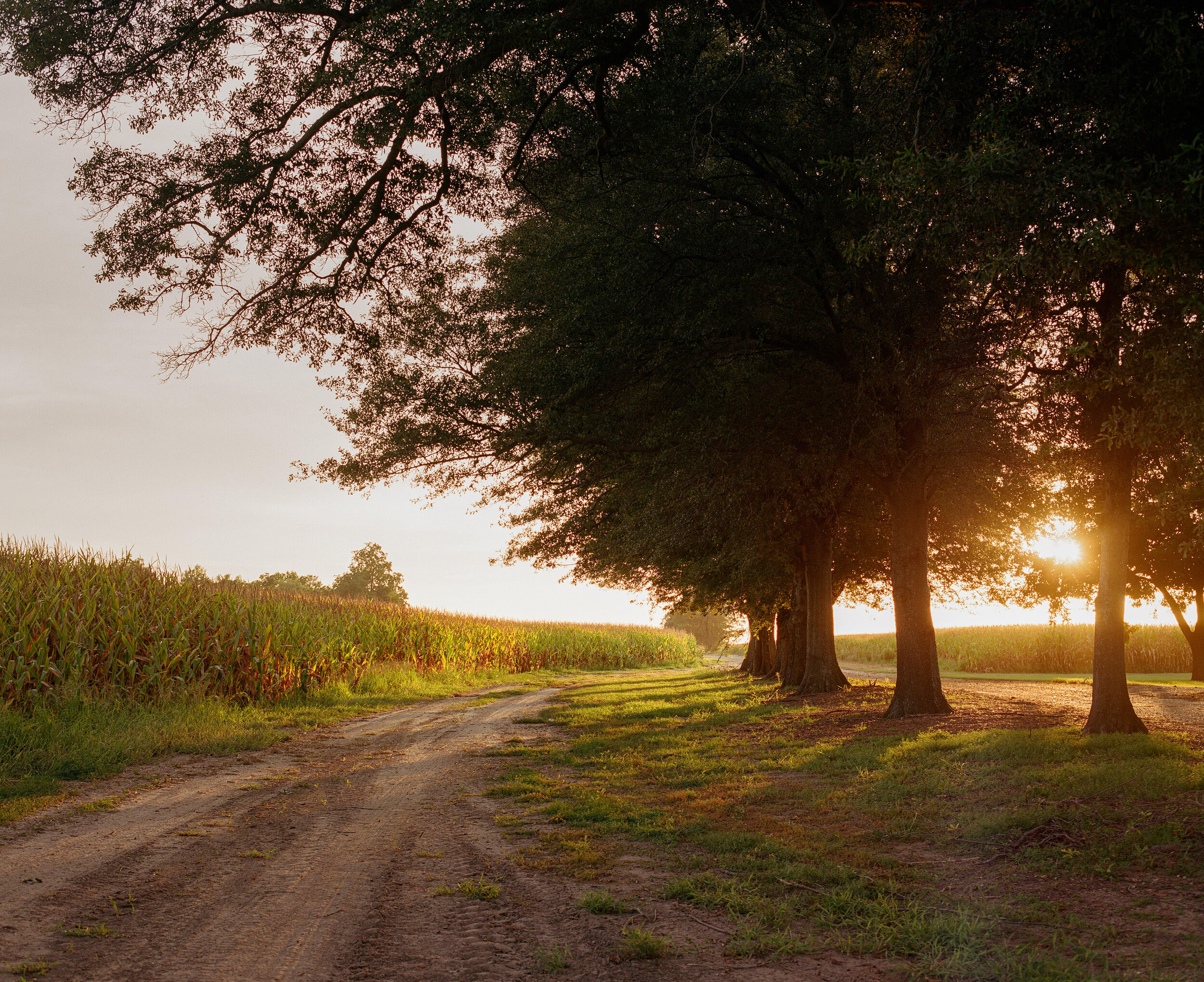 Caraway_Atmosphere1_092019.jpg