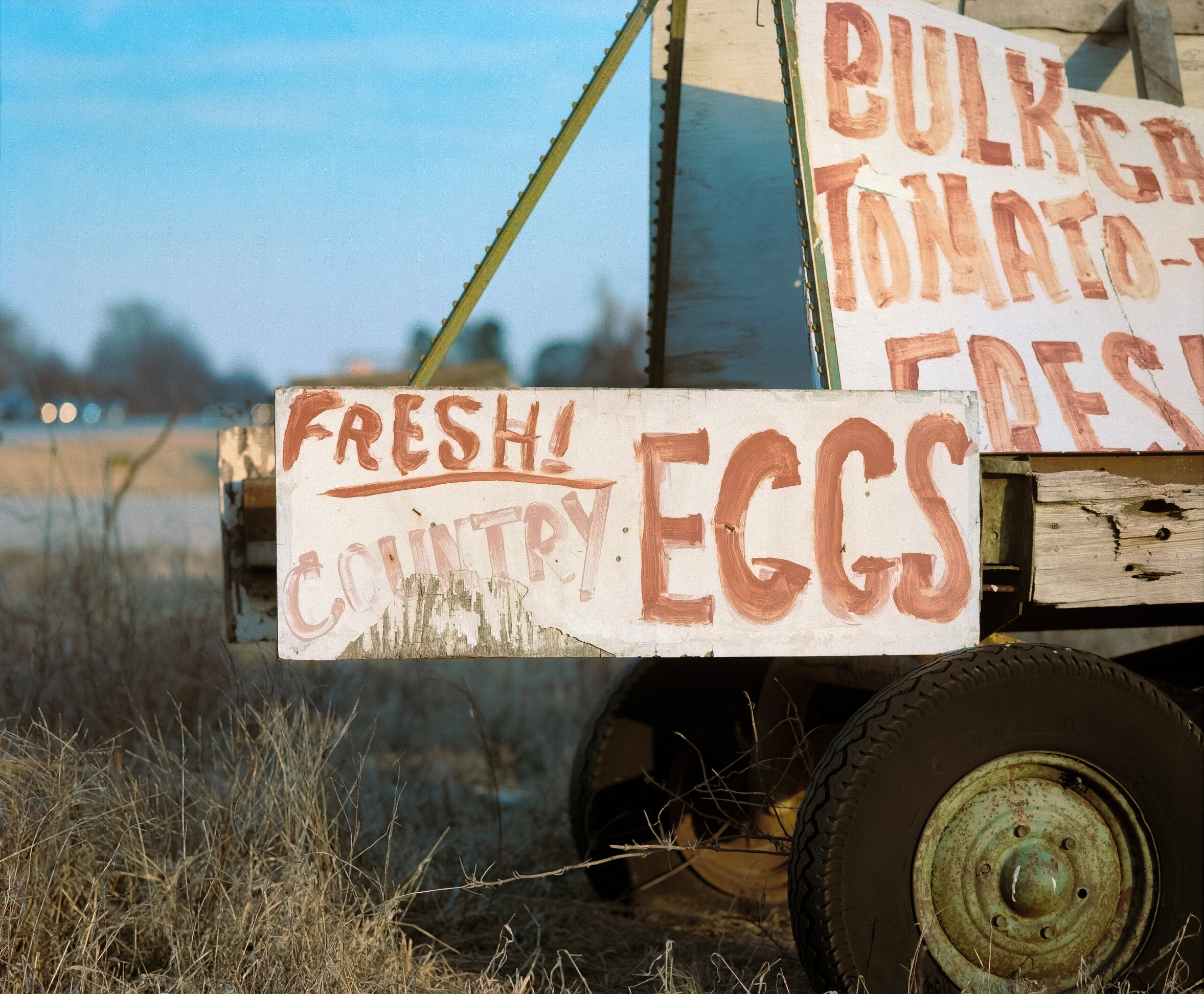 The Rural Record_Fresh Eggs_2021.jpg