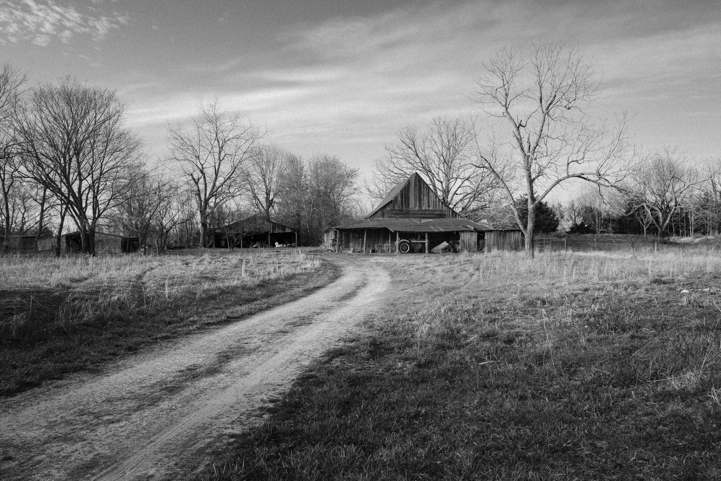 The Rural Record_Path to the Barn_0322.jpg