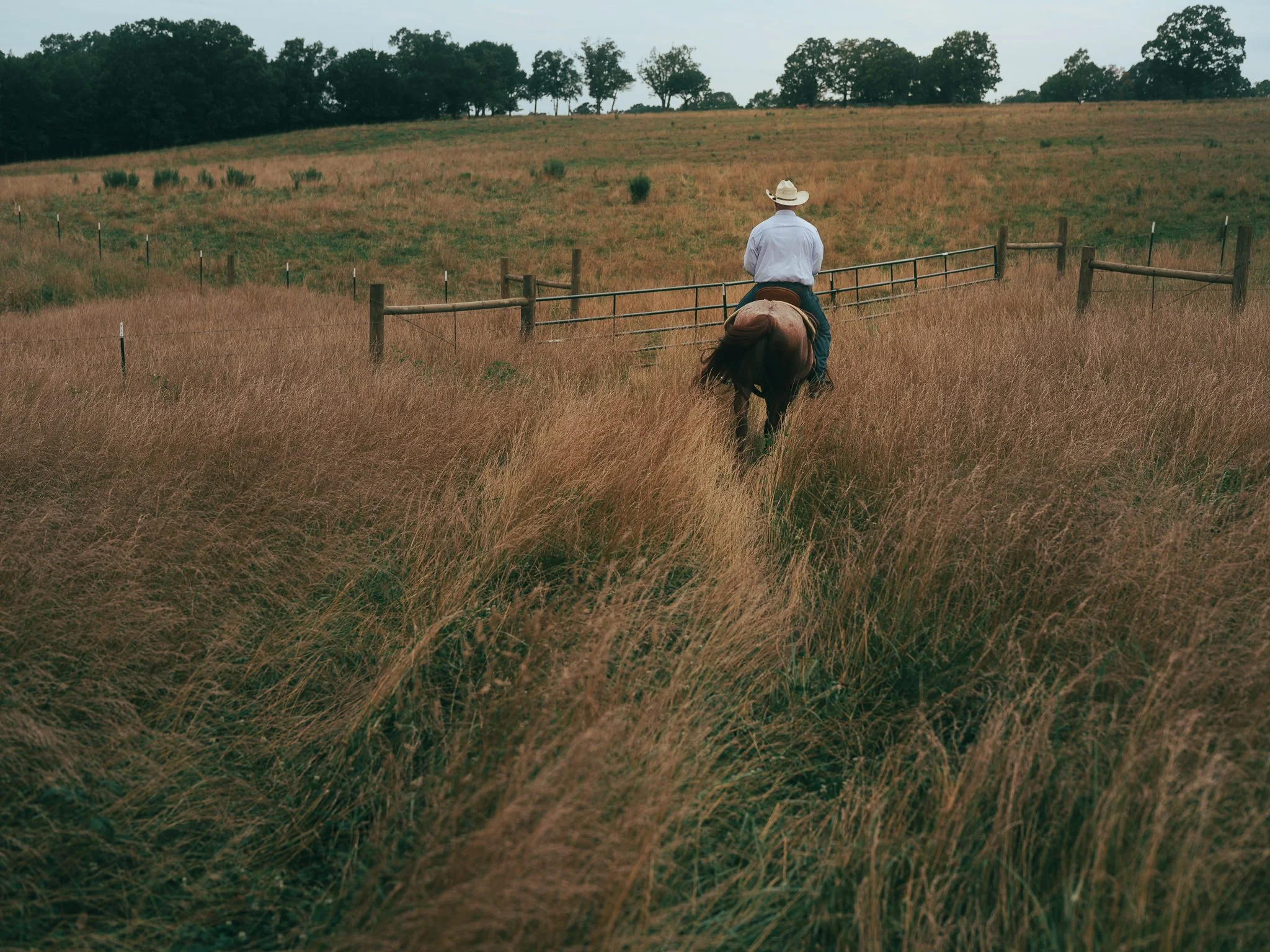 WhollyCow0625-060.jpg