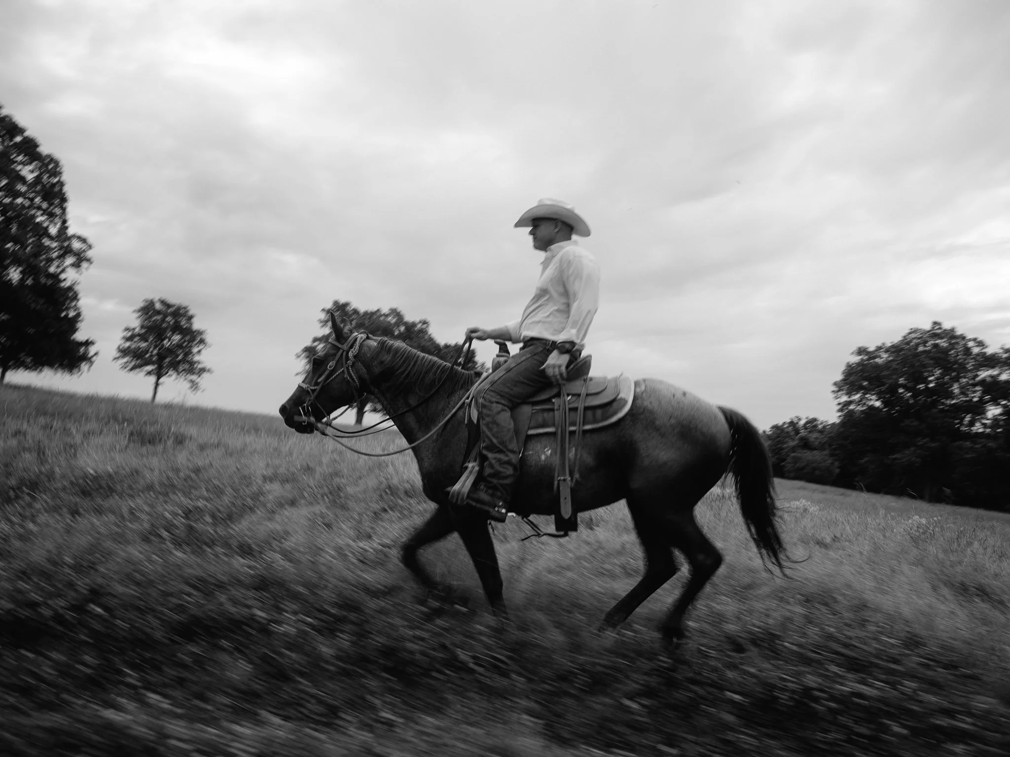 WhollyCow0625-065.jpg