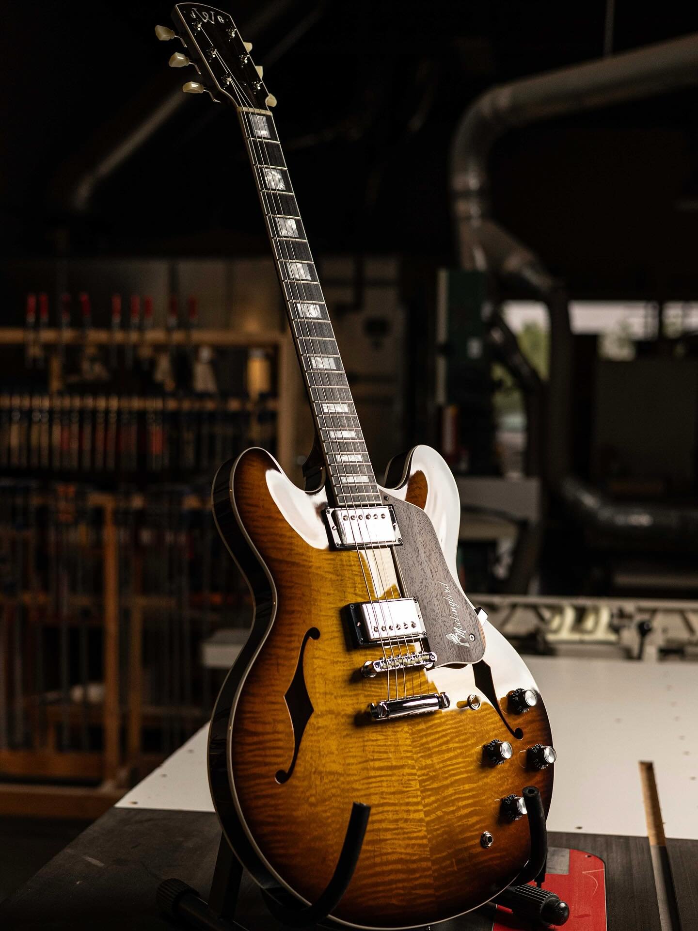 I think this custom ordered Mockingbird has it all! A fun build with some great specs!