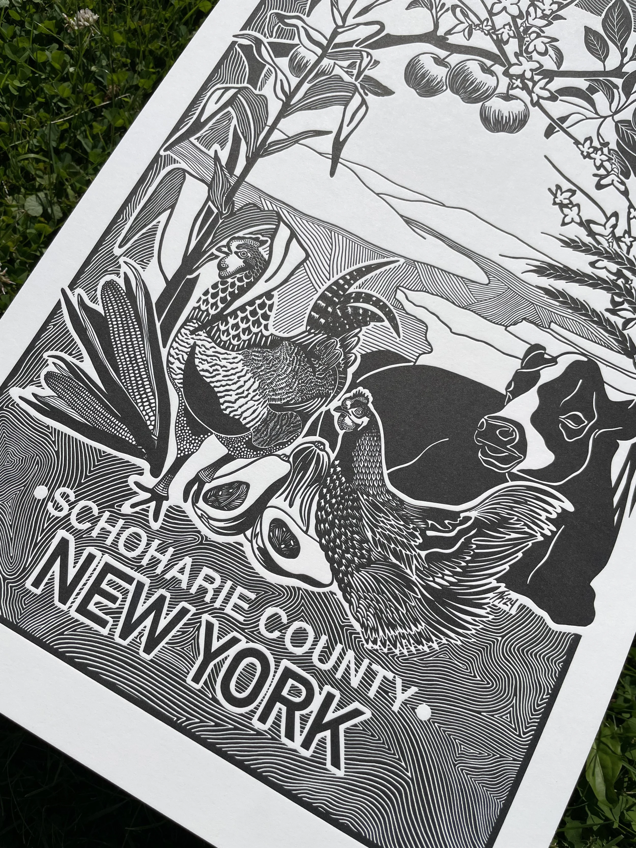 2024-07-26 15.56.23.jpg