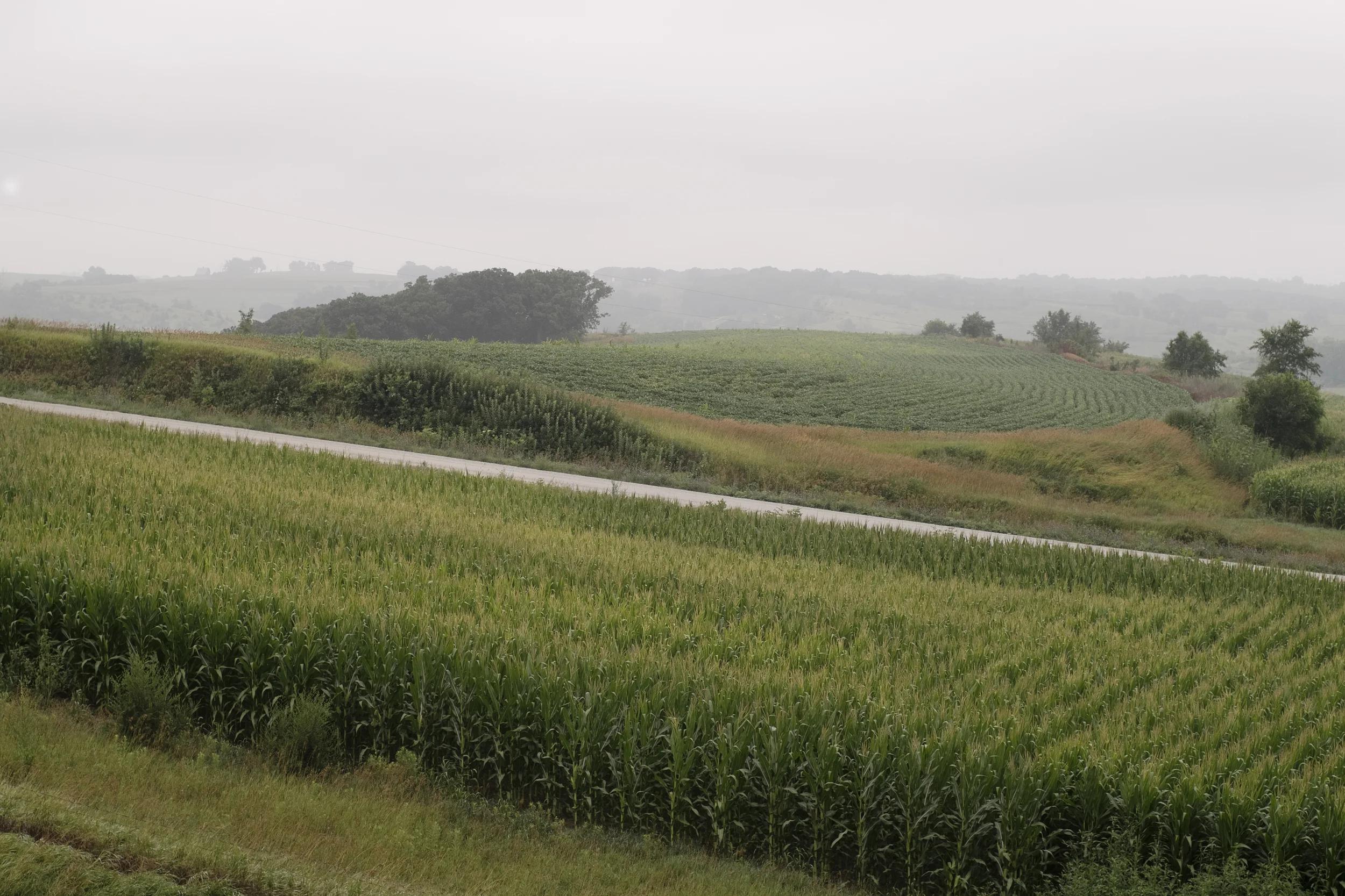 DSCF9141.jpg