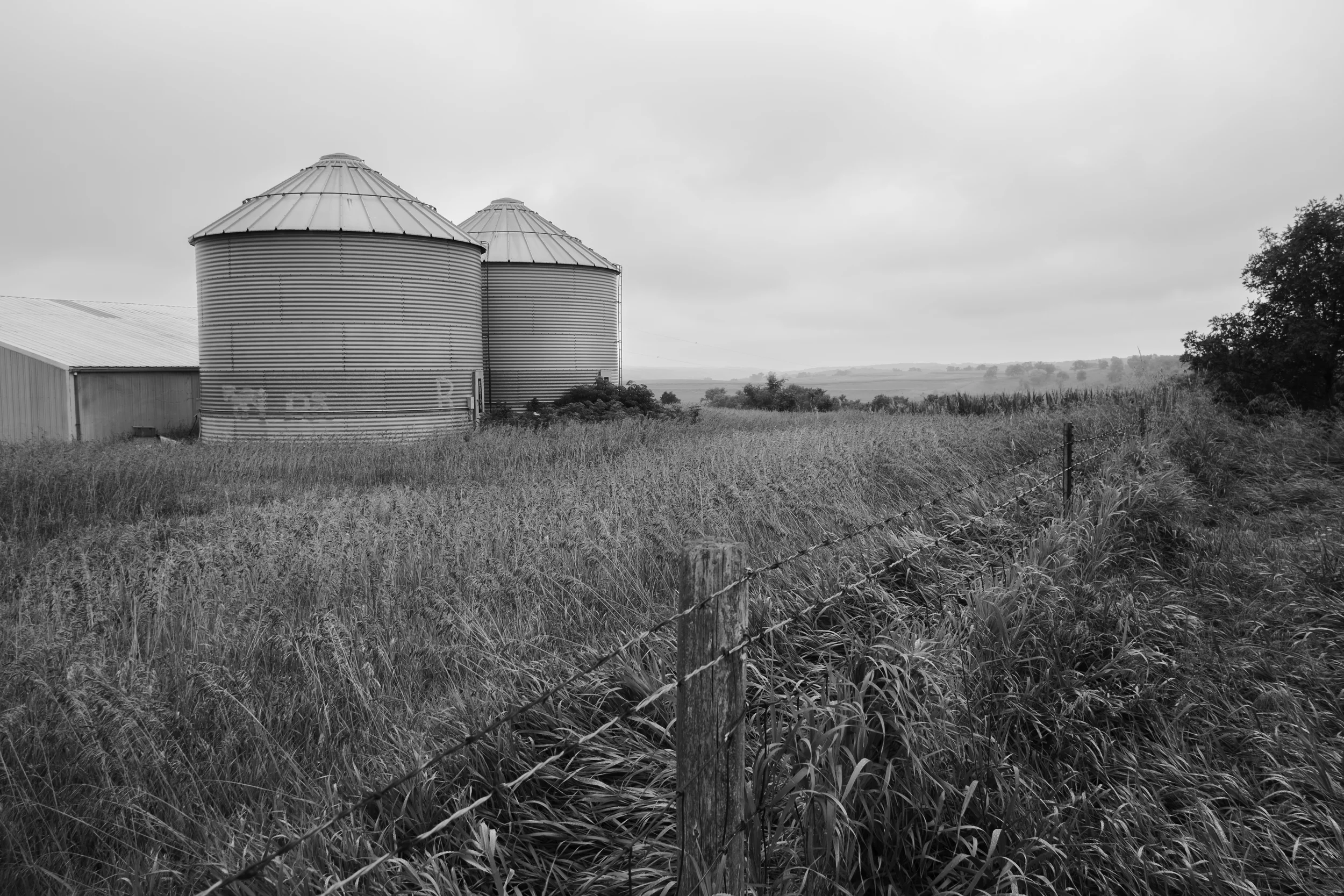 DSCF9156 b&w.jpg