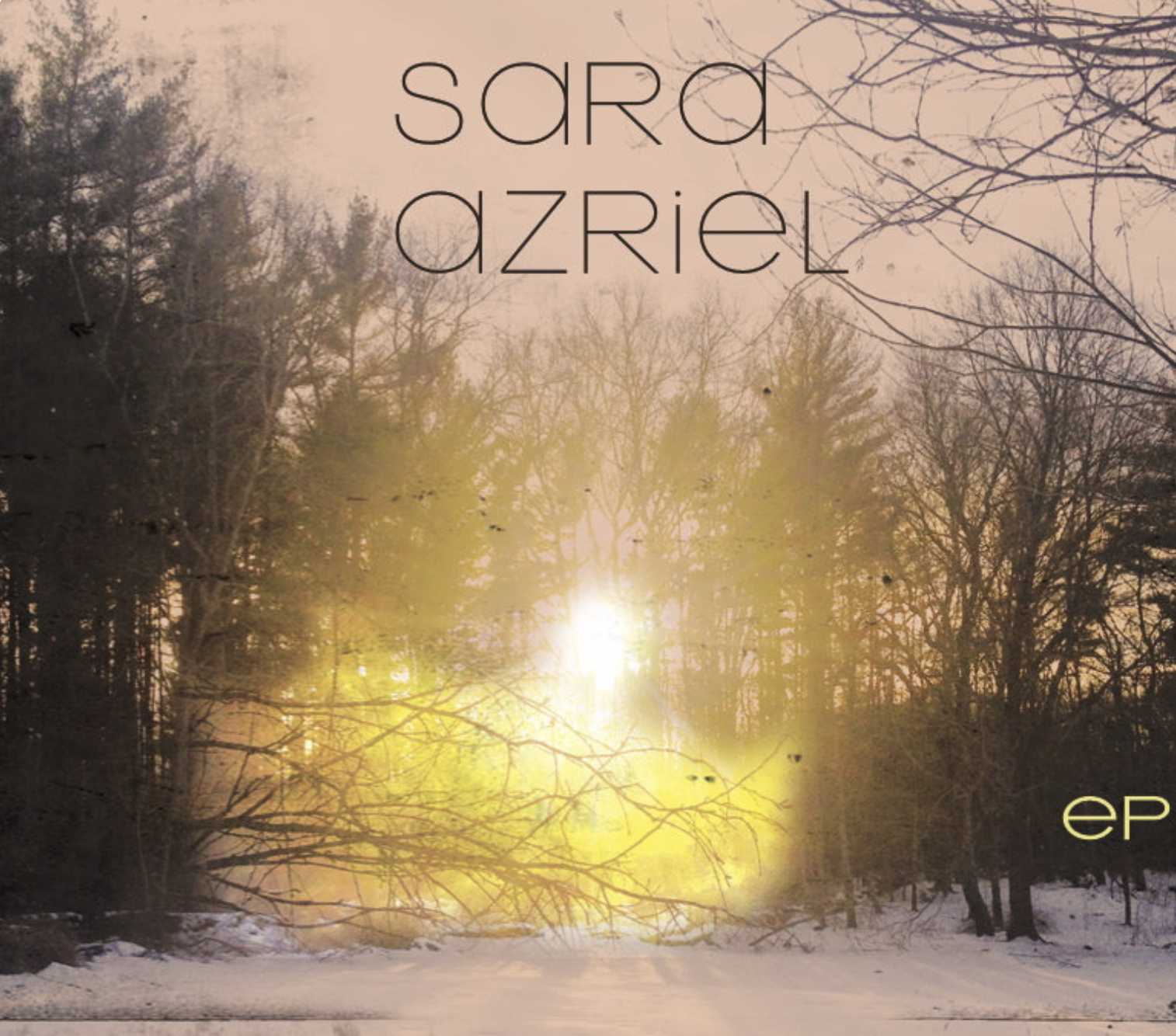 Screen Shot 2022-08-29 at 4.26.23 PM.png