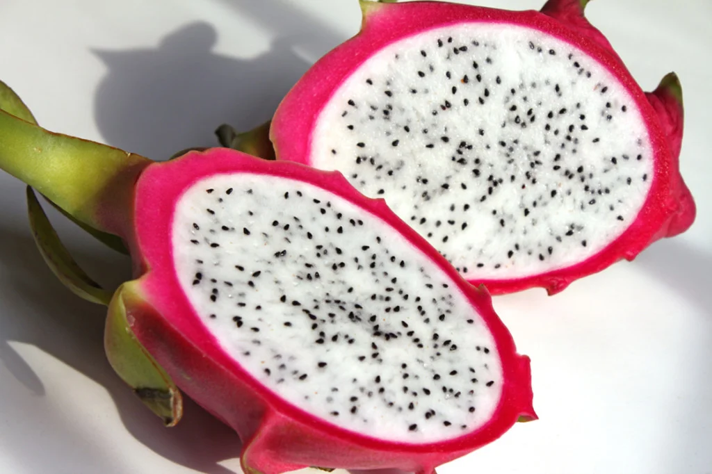 PATTERNITY-DRAGON-FRUIT-SCATTER_thepearlonion-1024x682.jpg