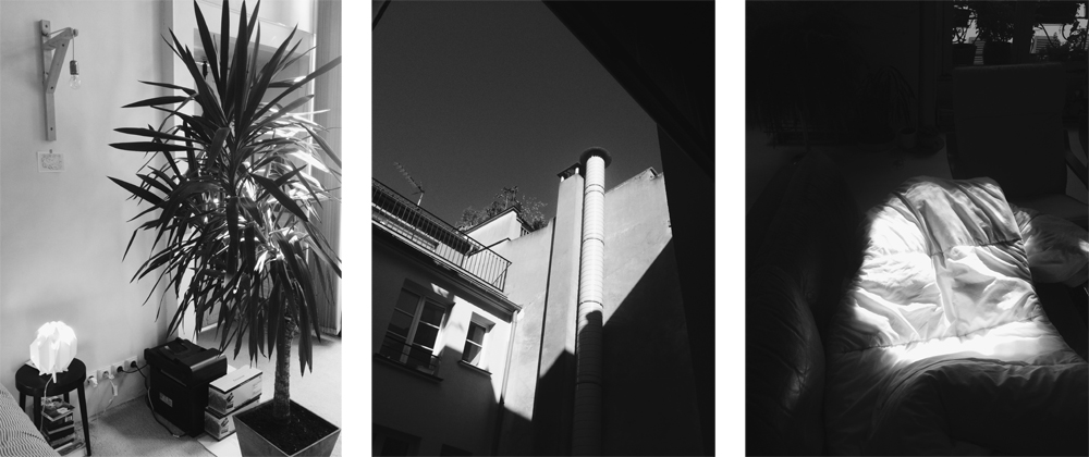 The light today in Paris was amazing.