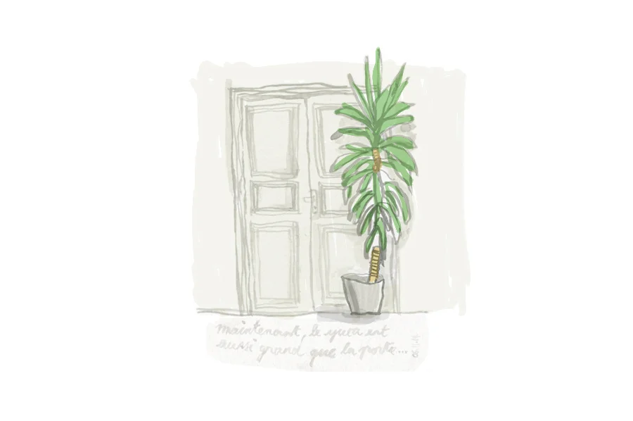 "Now the yucca is as tall as the door ..." Ink on paper and photoshop colouring