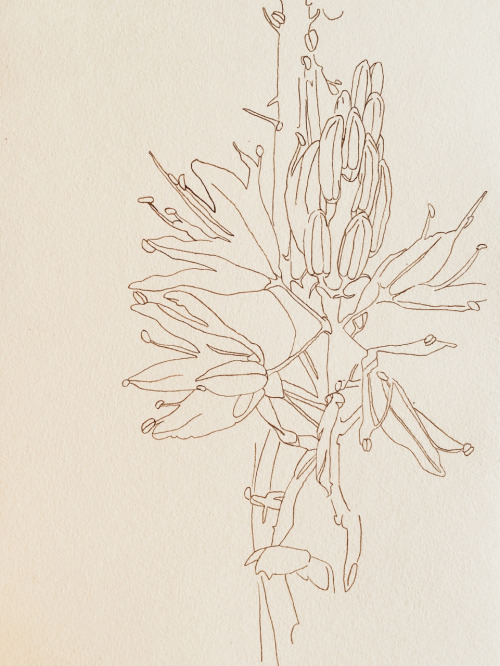 From the travel log book of Lanemarinho