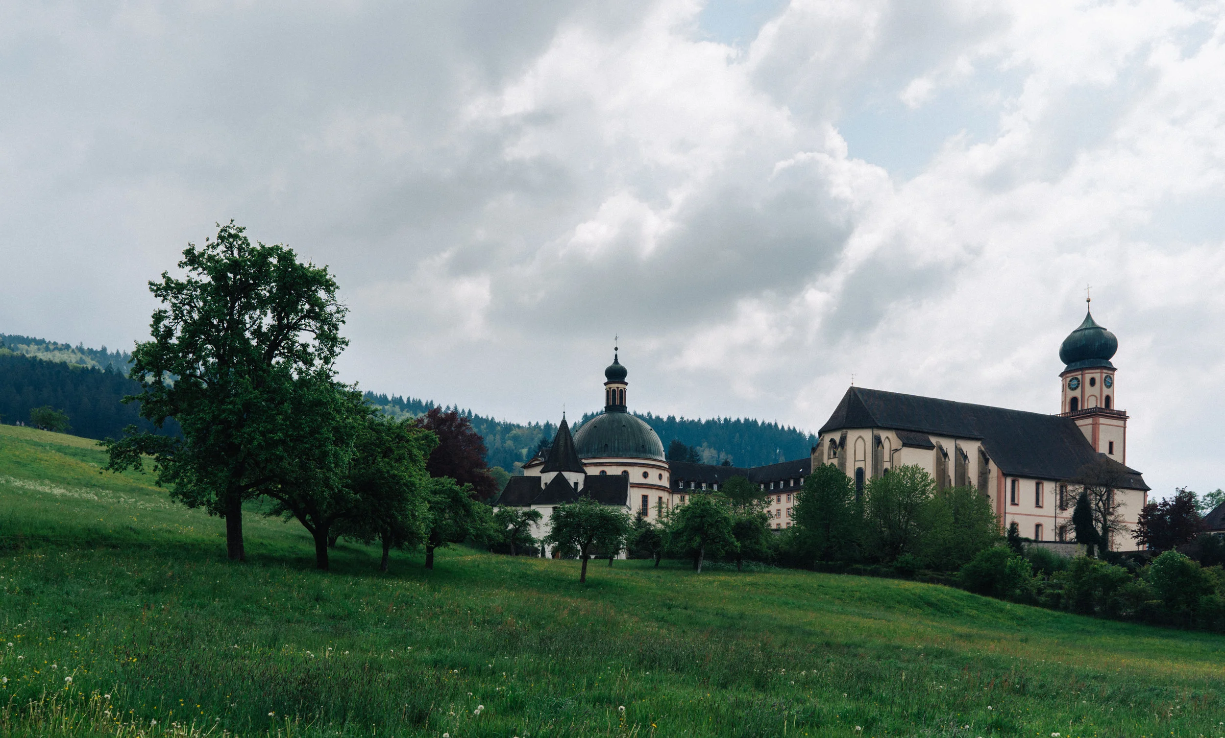 20190512-DSC00535-ILCE-7M3.jpg