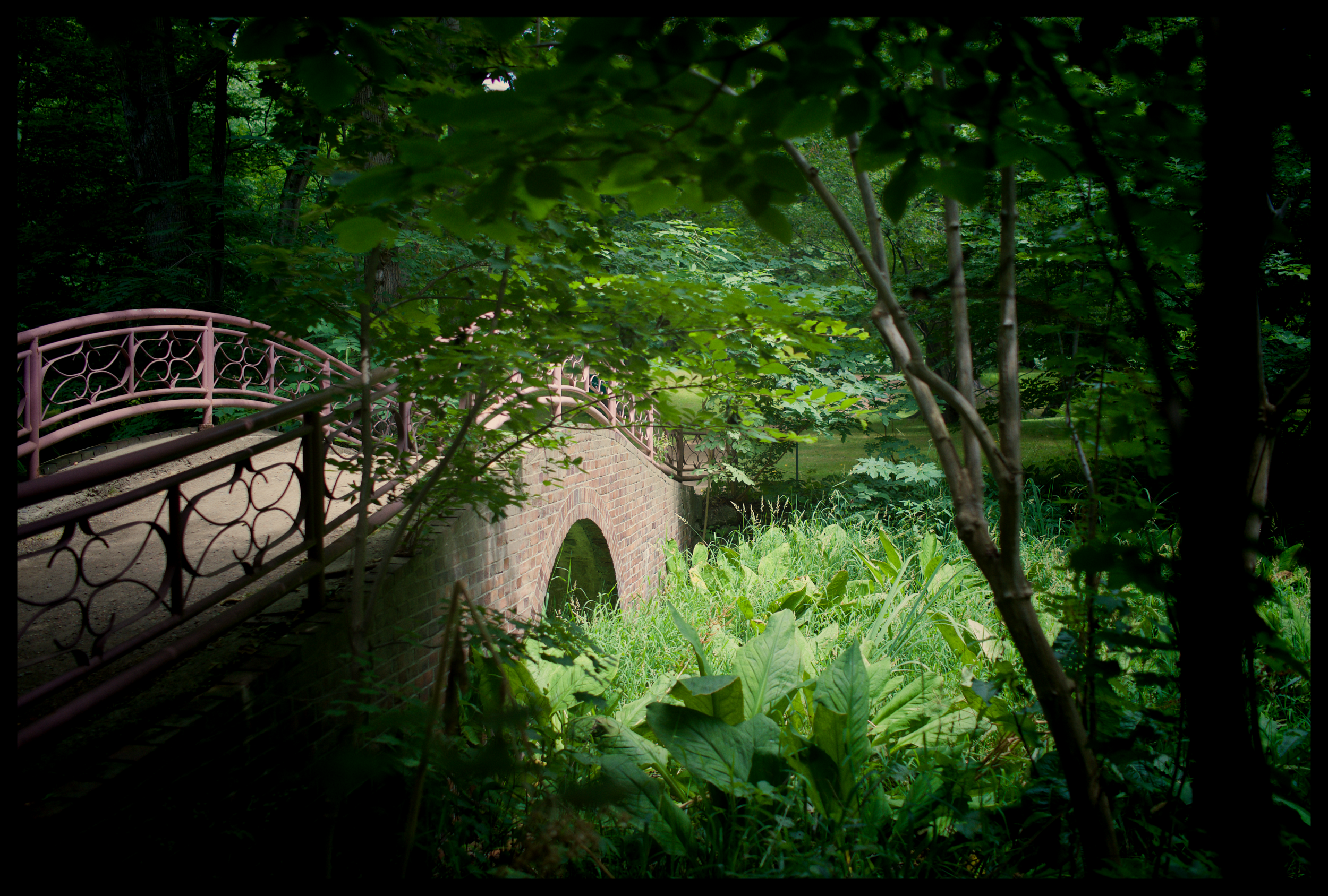 Botanic Garden Hokkaidō University 北海道大学植物園