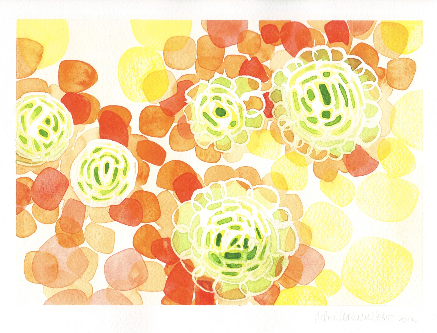 Coccolithophores VII