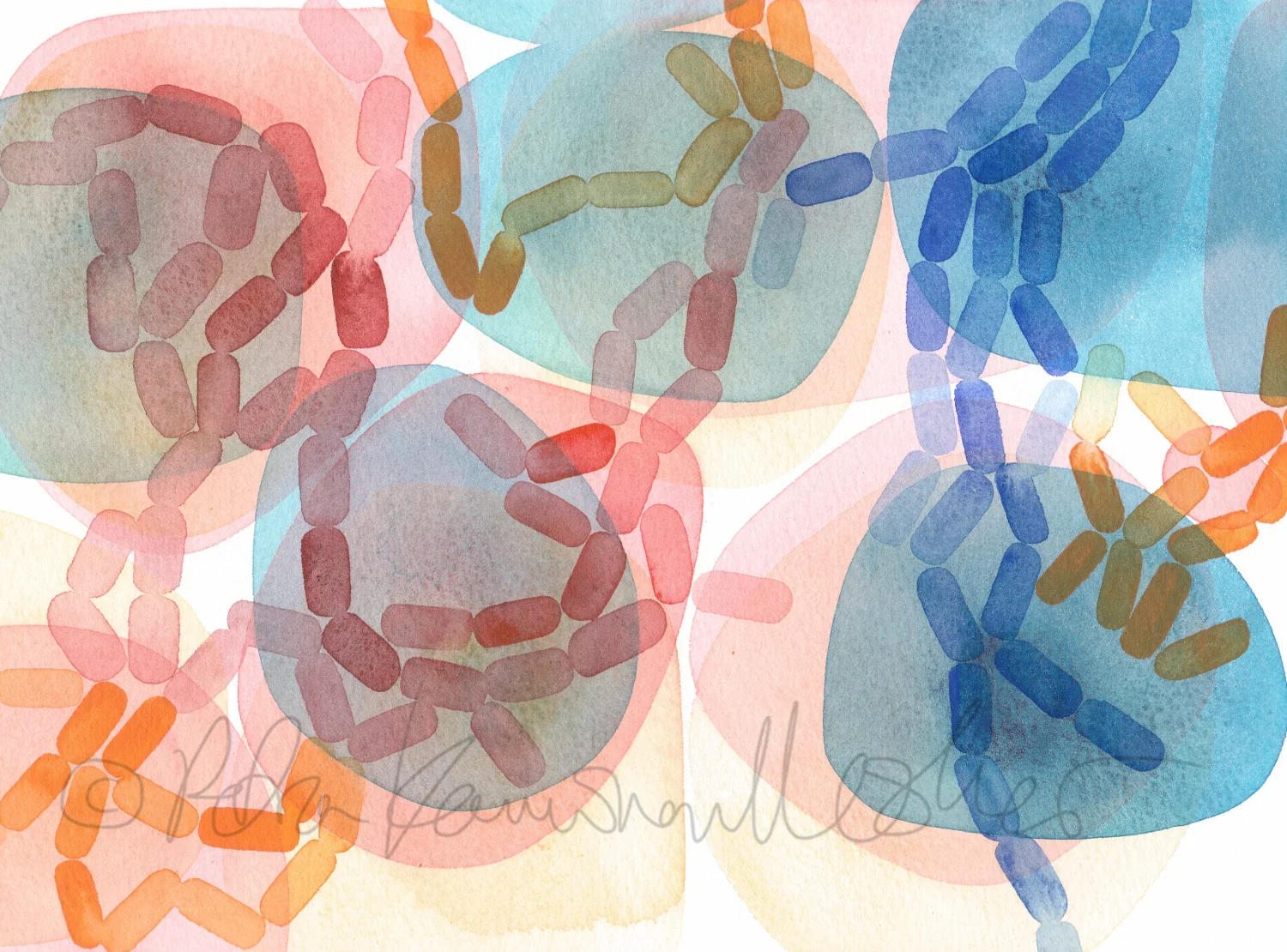 Variegated Culture