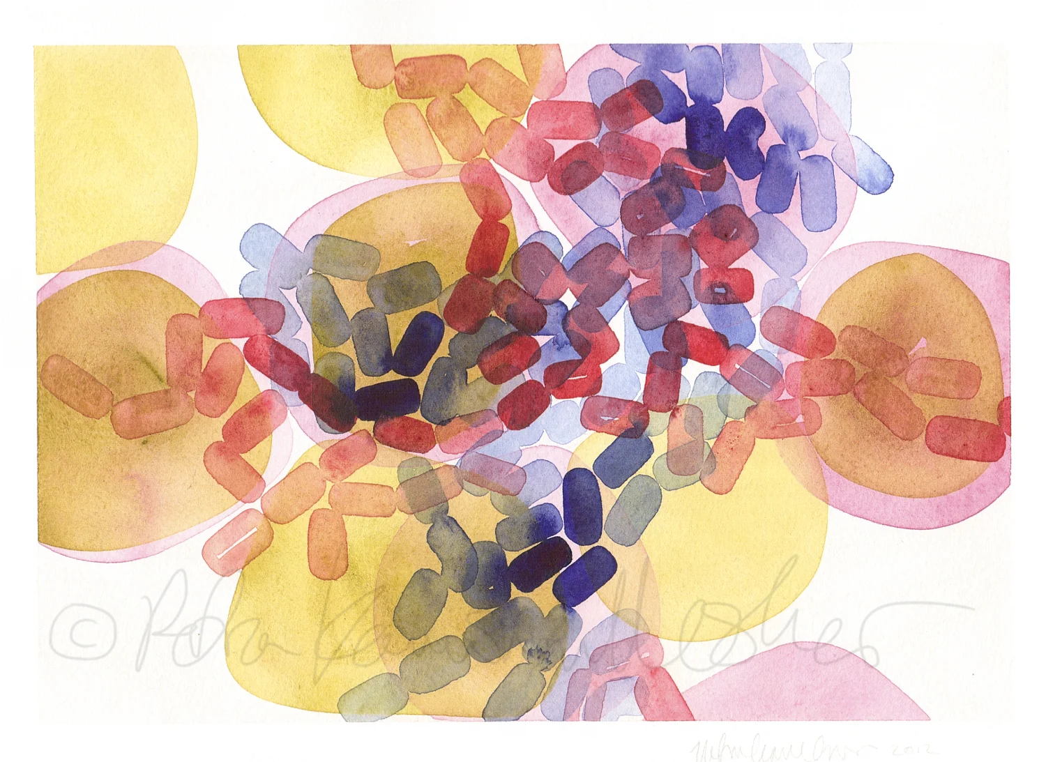 Gram Positive & Negative II