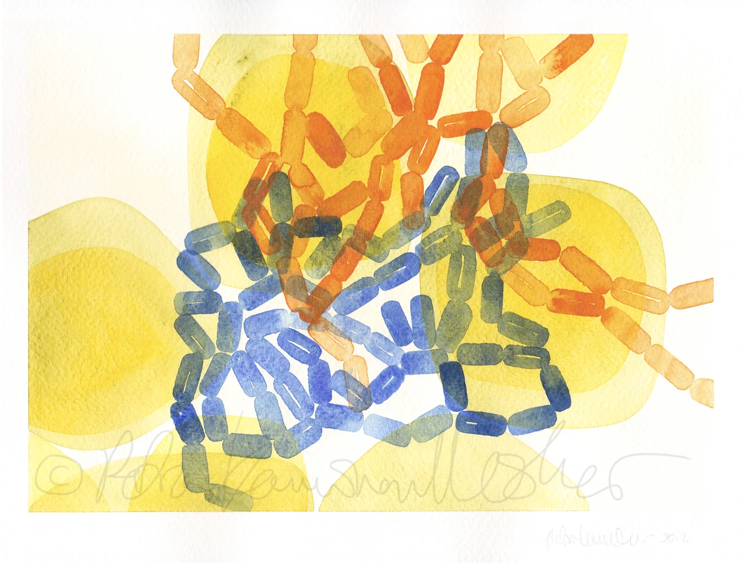 Gram Positive & Negative III