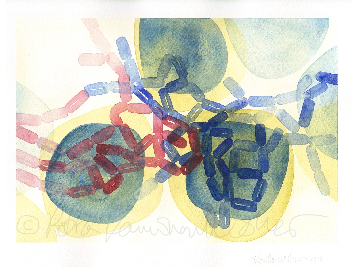 Gram Positive & Negative IV