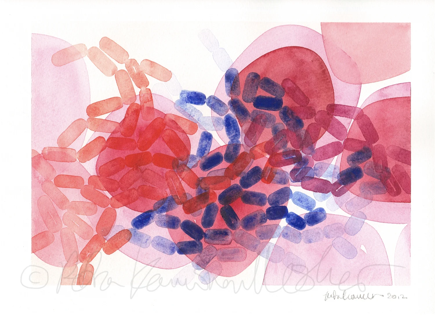 Gram Positive & Negative VII