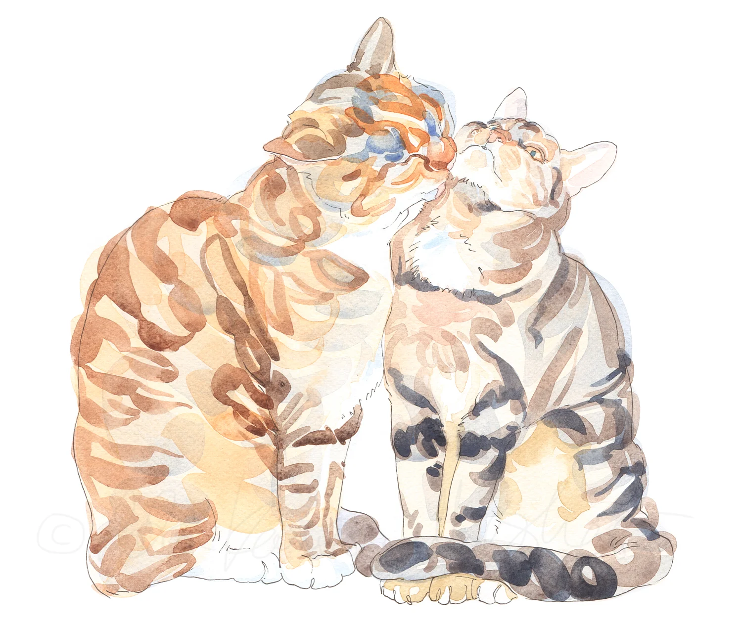 Kitten Bath