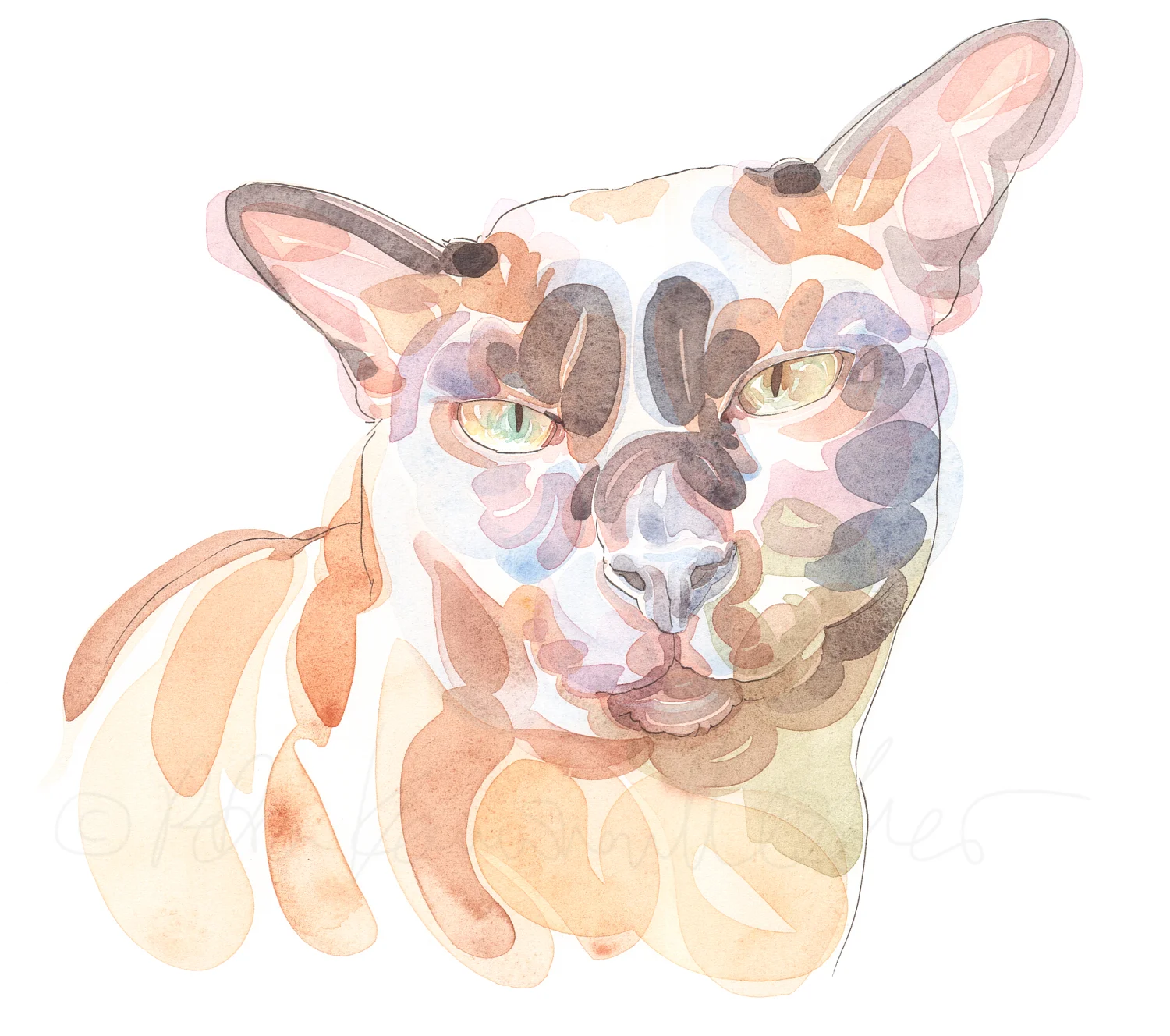 Cafuddled