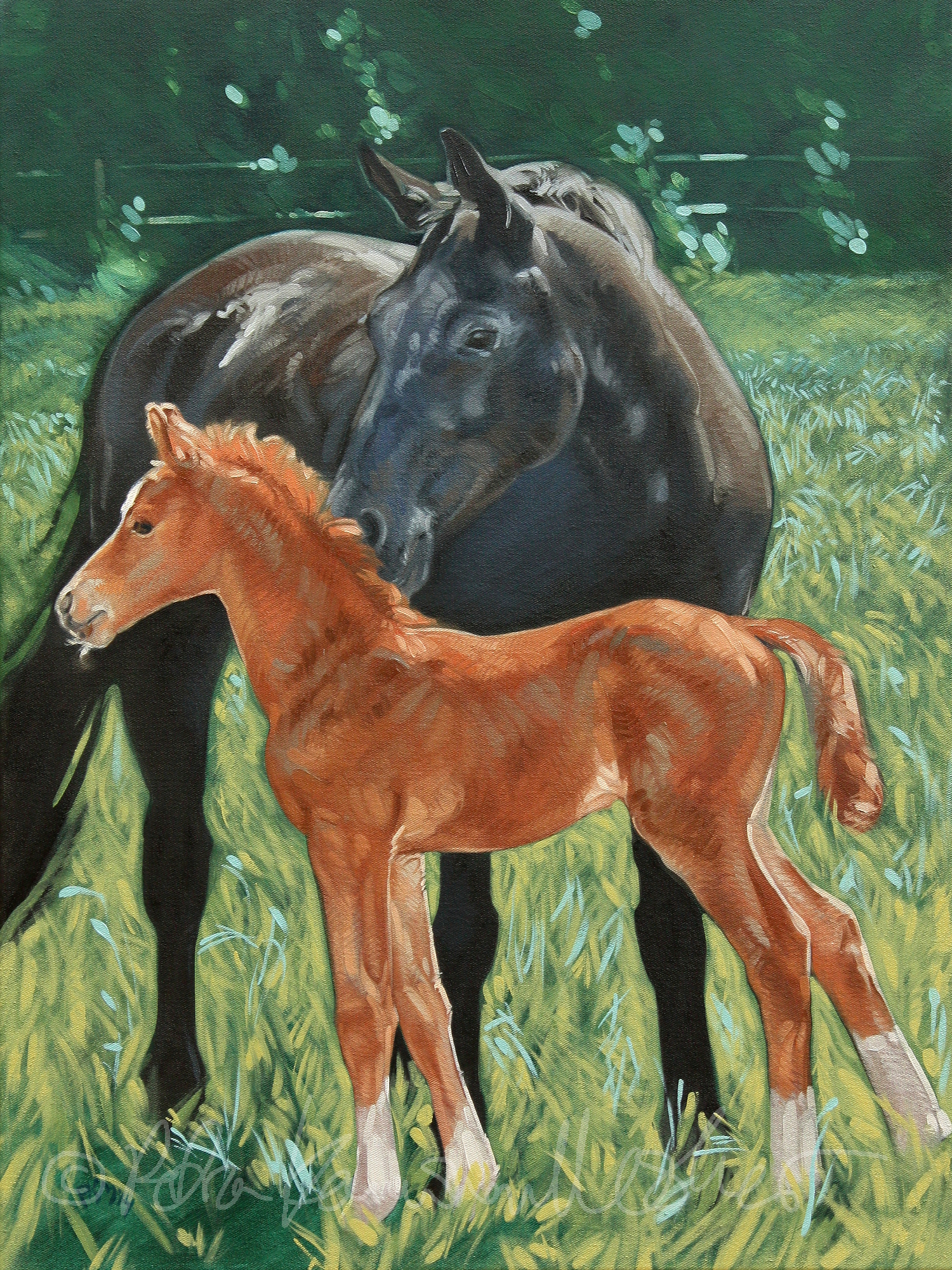 Mare and Foal