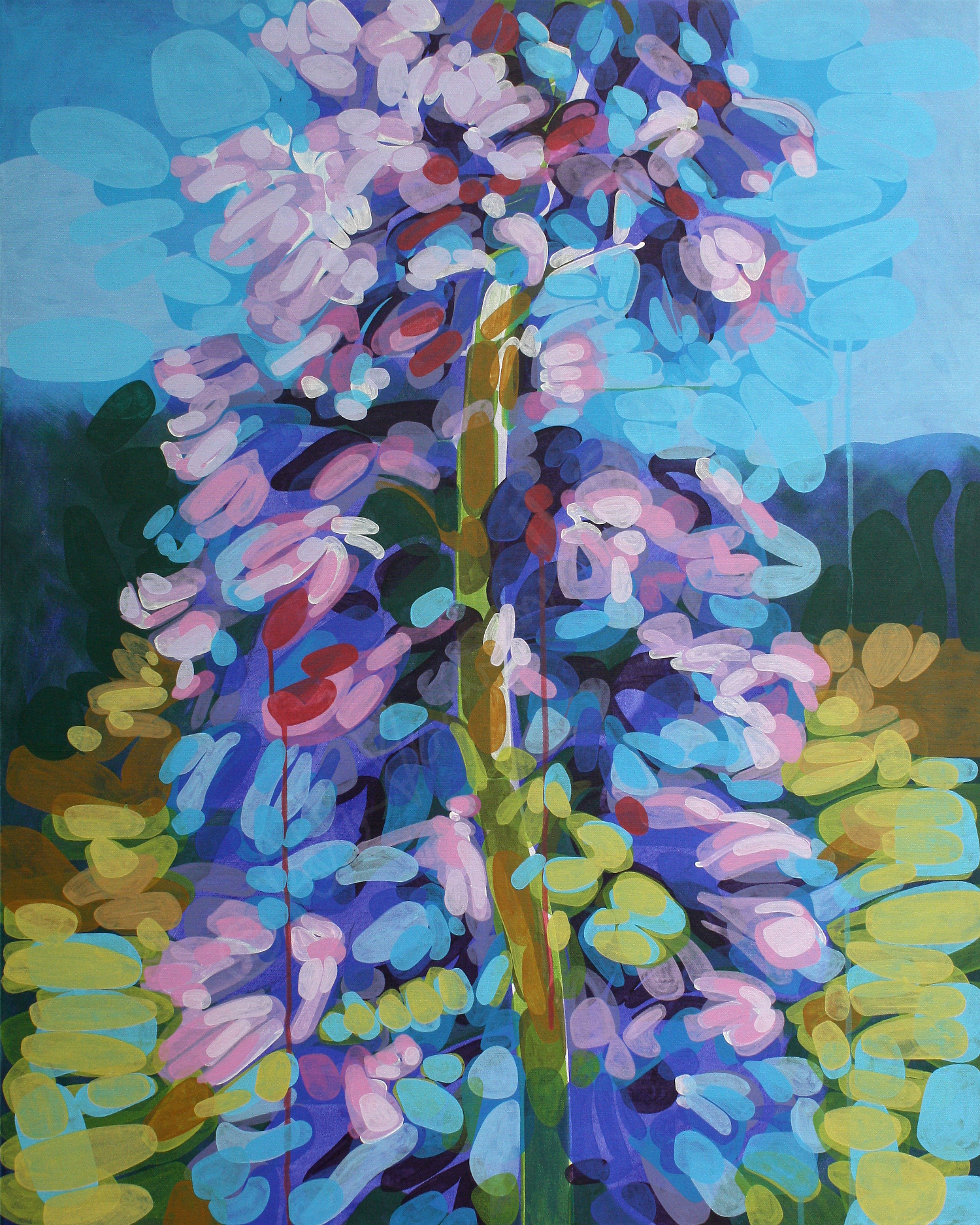 Delphinium