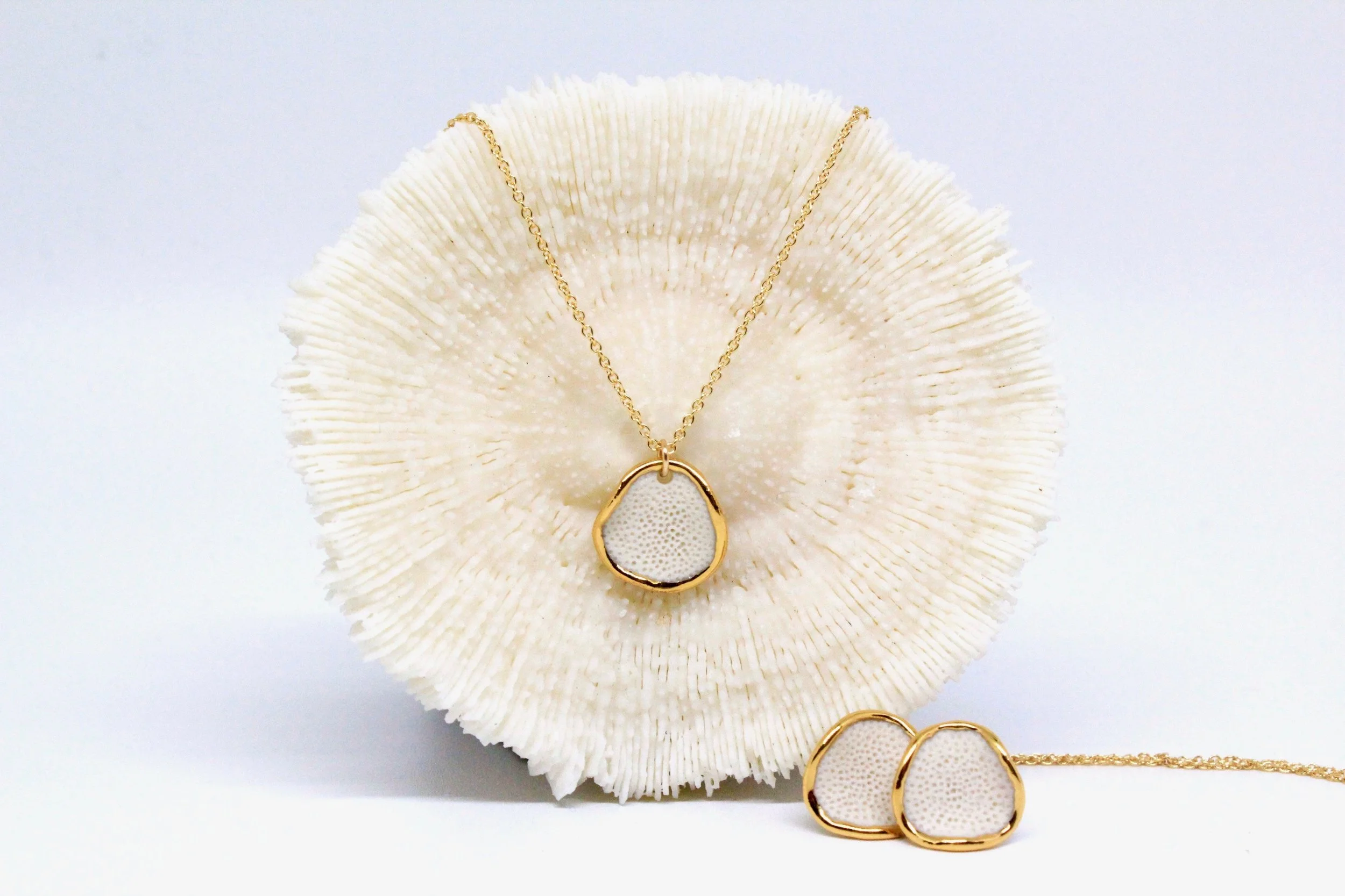 Coral Reef Collection_White.jpeg