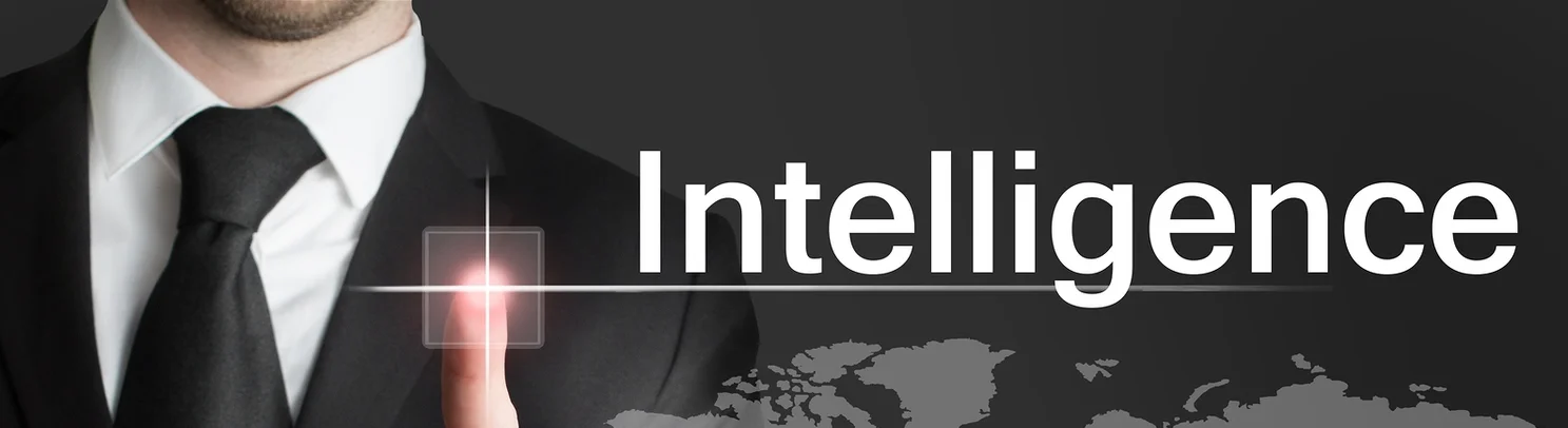 intelligence.jpg
