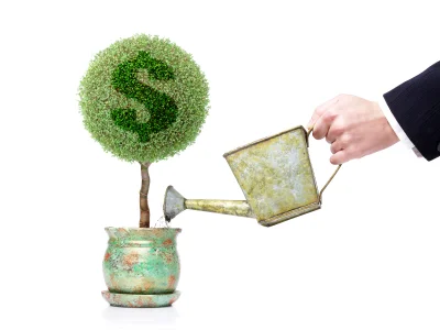 moneytree.jpg