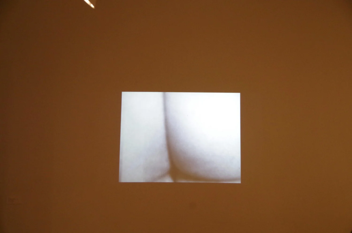 a_IGP0731.jpg